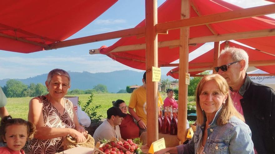 El Festival de la Fresa de Candamo, en imágenes