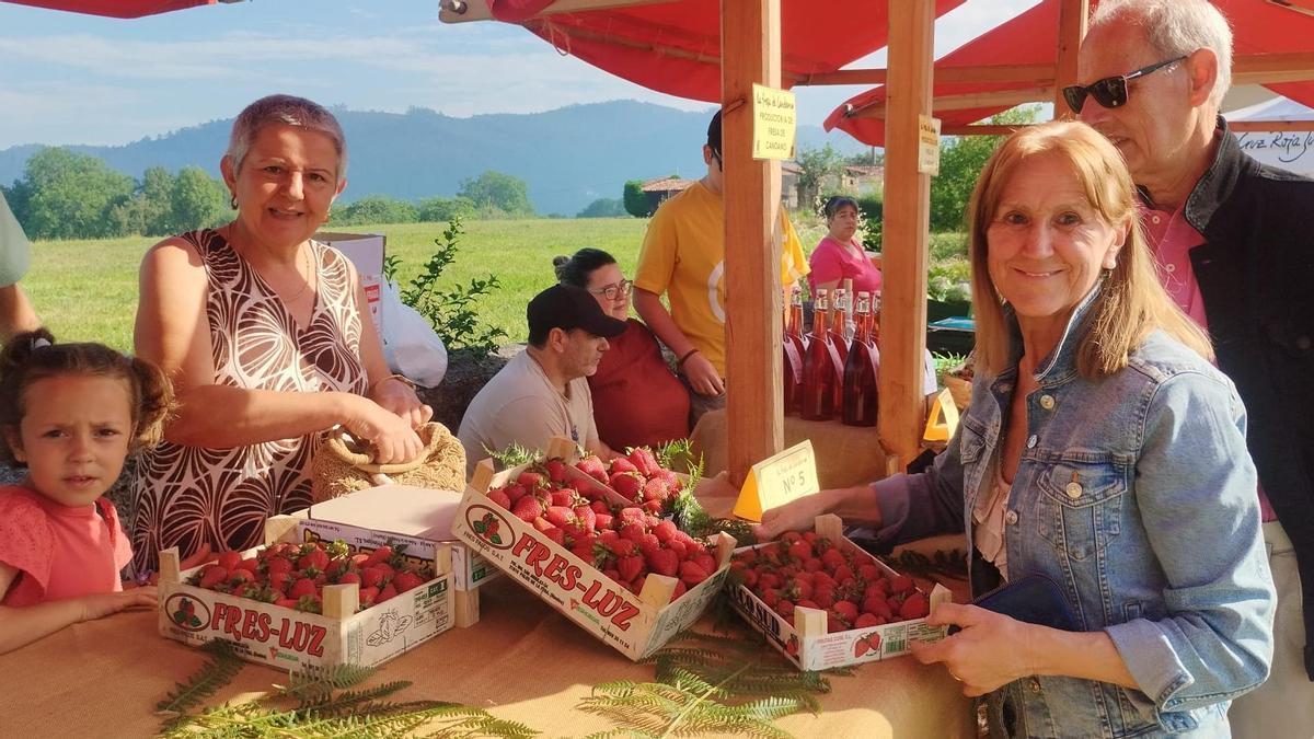 El Festival de la Fresa de Candamo, en imágenes