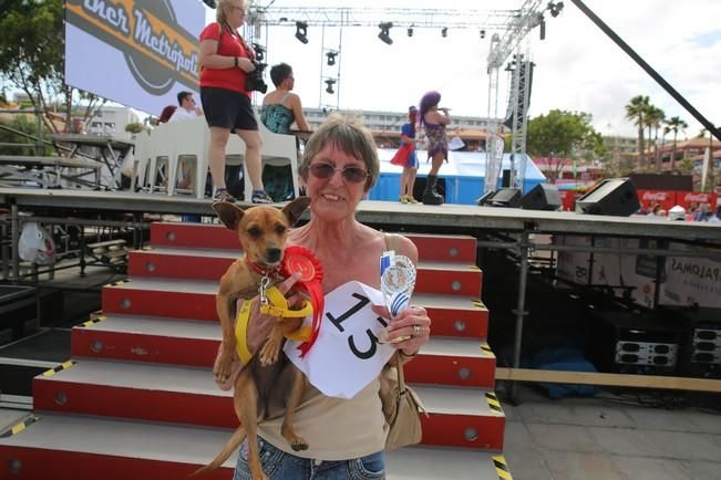 Desfile canino en el Orgullo Gay 2016