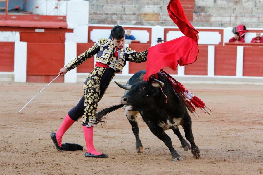 Tarde de toros en Zamora