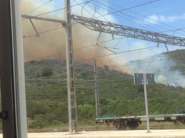 Un incendi forestal crema a tocar de l'estació de tren de Llançà