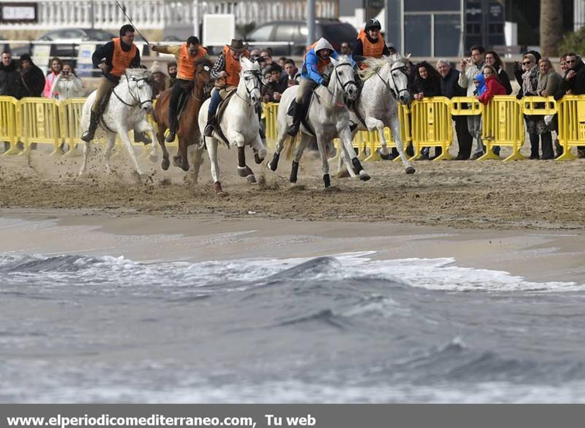 GALERÍA DE FOTOS -- Orpesa celebra Sant Antoni con carreras y bendición de animales