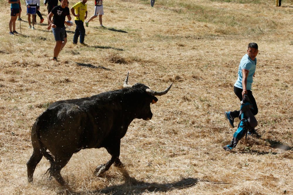 Espantes de Guarrate