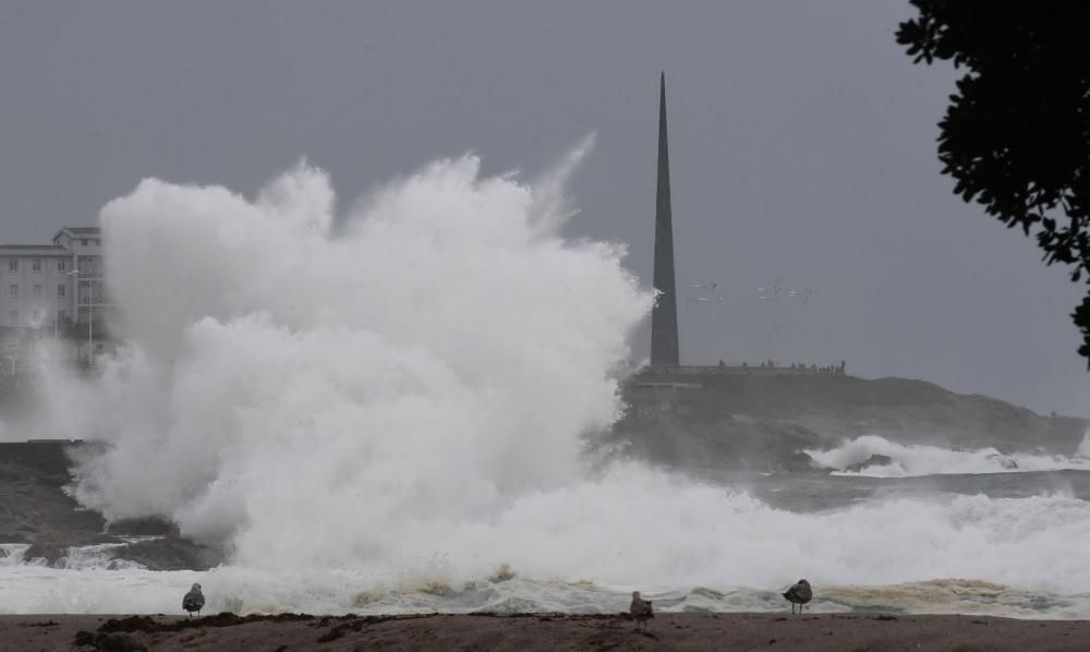 El temporal con alerta roja en el mar deja olas de más de once metros y árboles caídos.