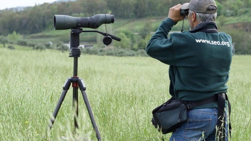 Organizan programas de ciencia ciudadana para monitorizar aves de invierno y ayudar a su conservación