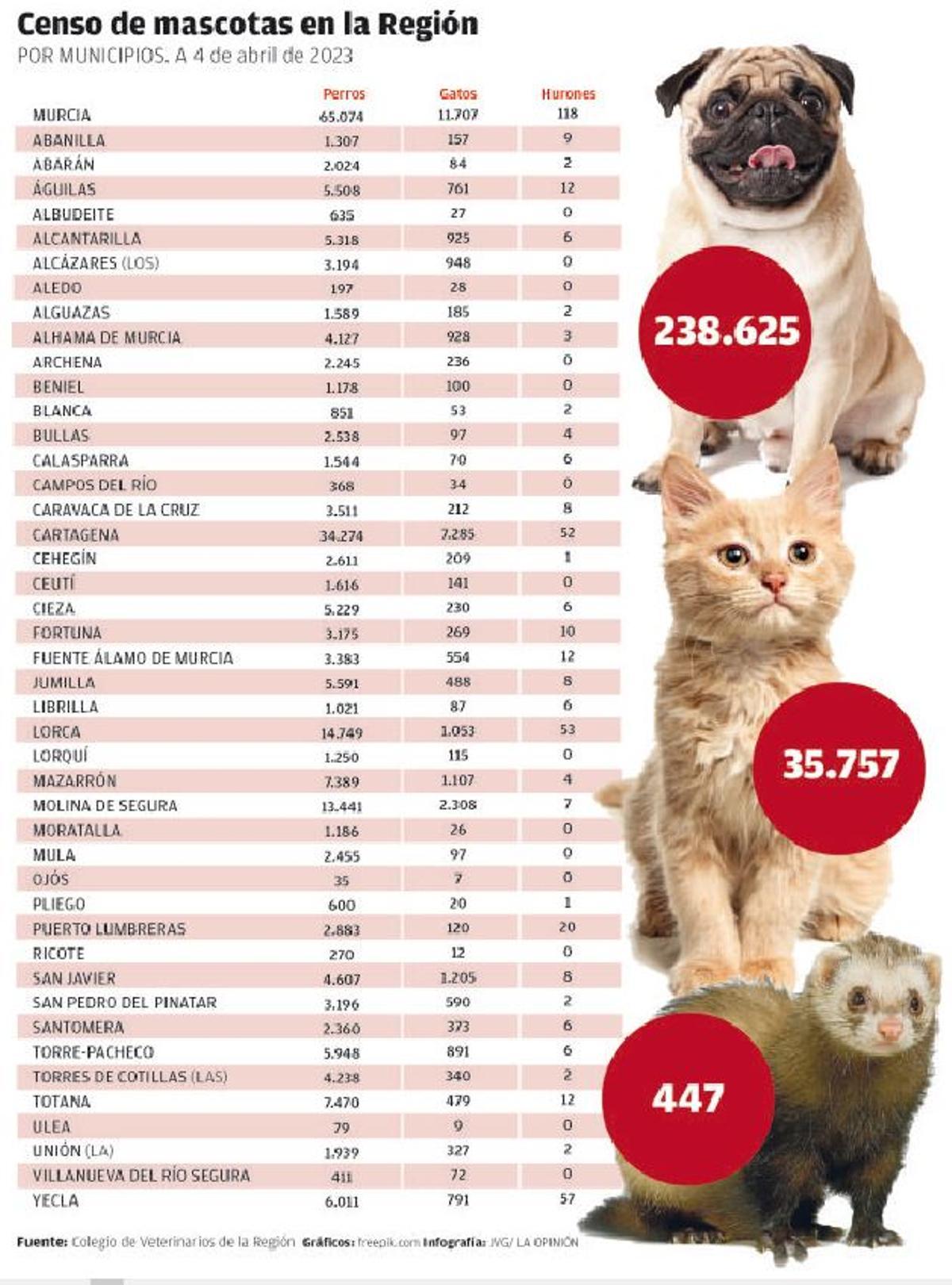 Censo de mascotas en la Región