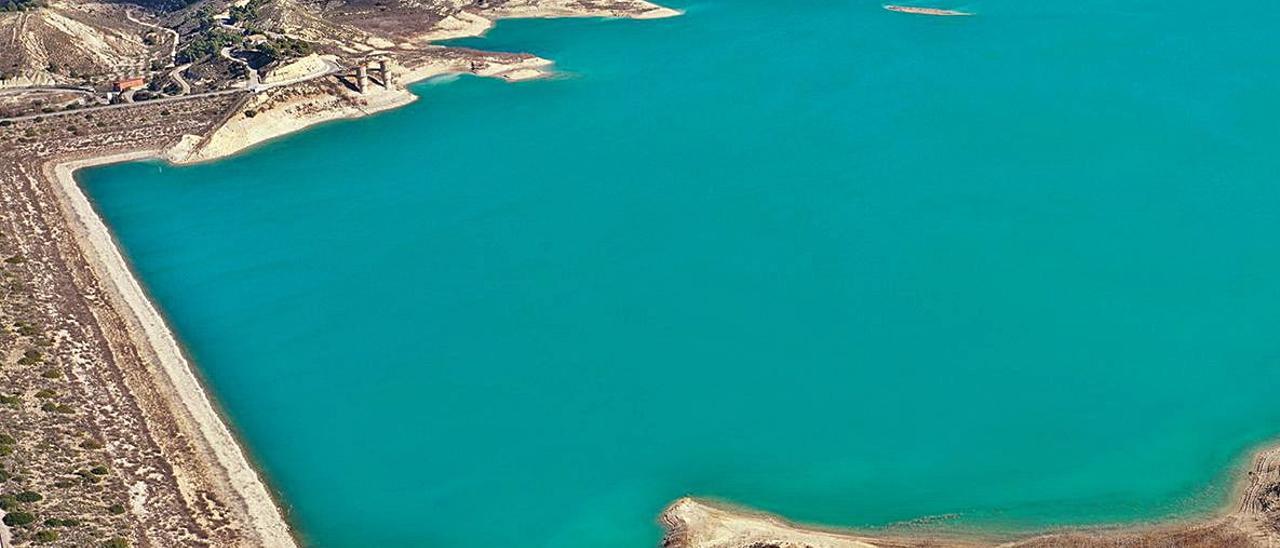 Embalse de la Pedrera. Al fondo, la laguna rosa de Torrevieja y el mar, de donde proceden parte de sus aguas desaladas. A la derecha, aves  observadas por Faunatura. | TONY SEVILLA/FAUNATURA
