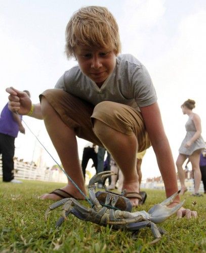 El británico Adam Best espera el comienzo de la carrera anual de cangrejos en la isla de Tobago