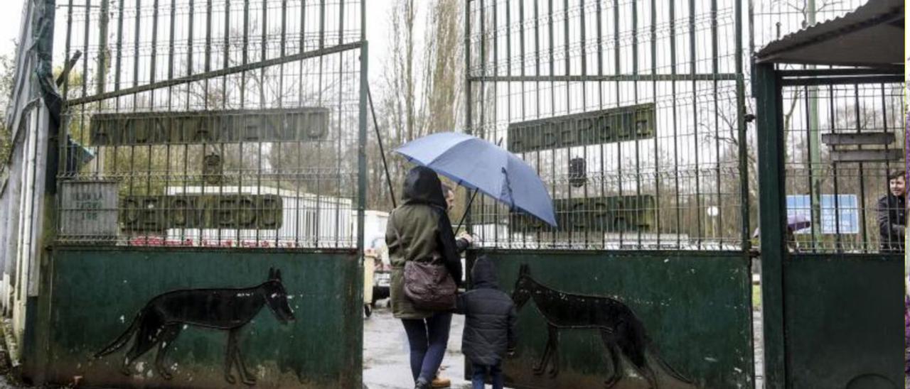 El actual gestor del albergue de animales crea una asociación y recurre el  contrato que dejará la instalación en manos de las protectoras - La Nueva  España