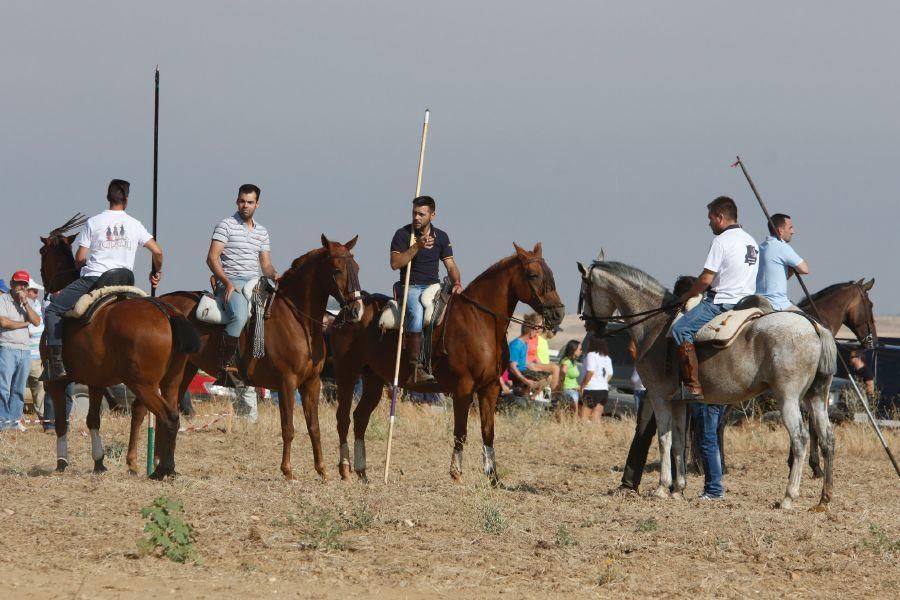 Villalpando despide los toros