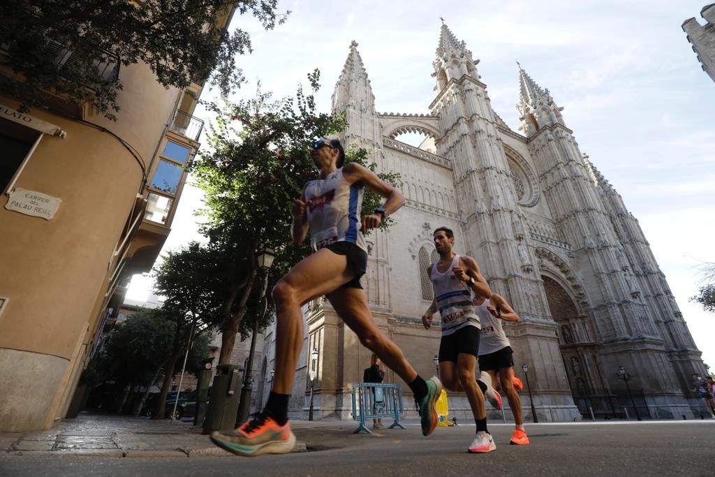 Waren Sie beim Zafiro Marathon Palma am Start? Suchen Sie sich in unserer Fotogalerie