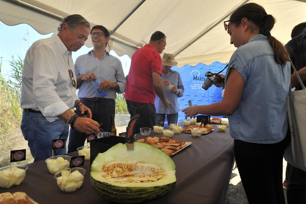 Inicio de la campaña del melón de Carrizales