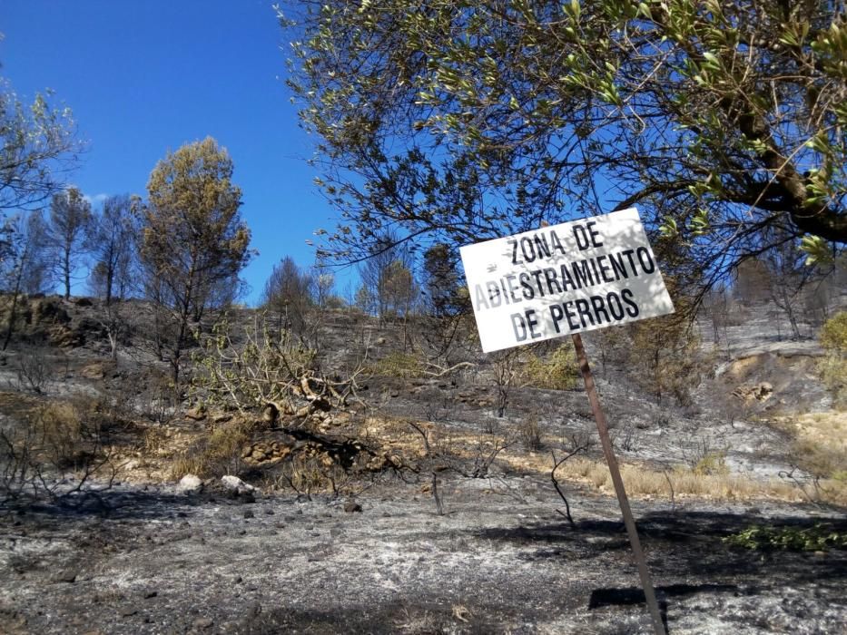 Paisaje que ha quedado en Bolbaite tras el paso del fuego.