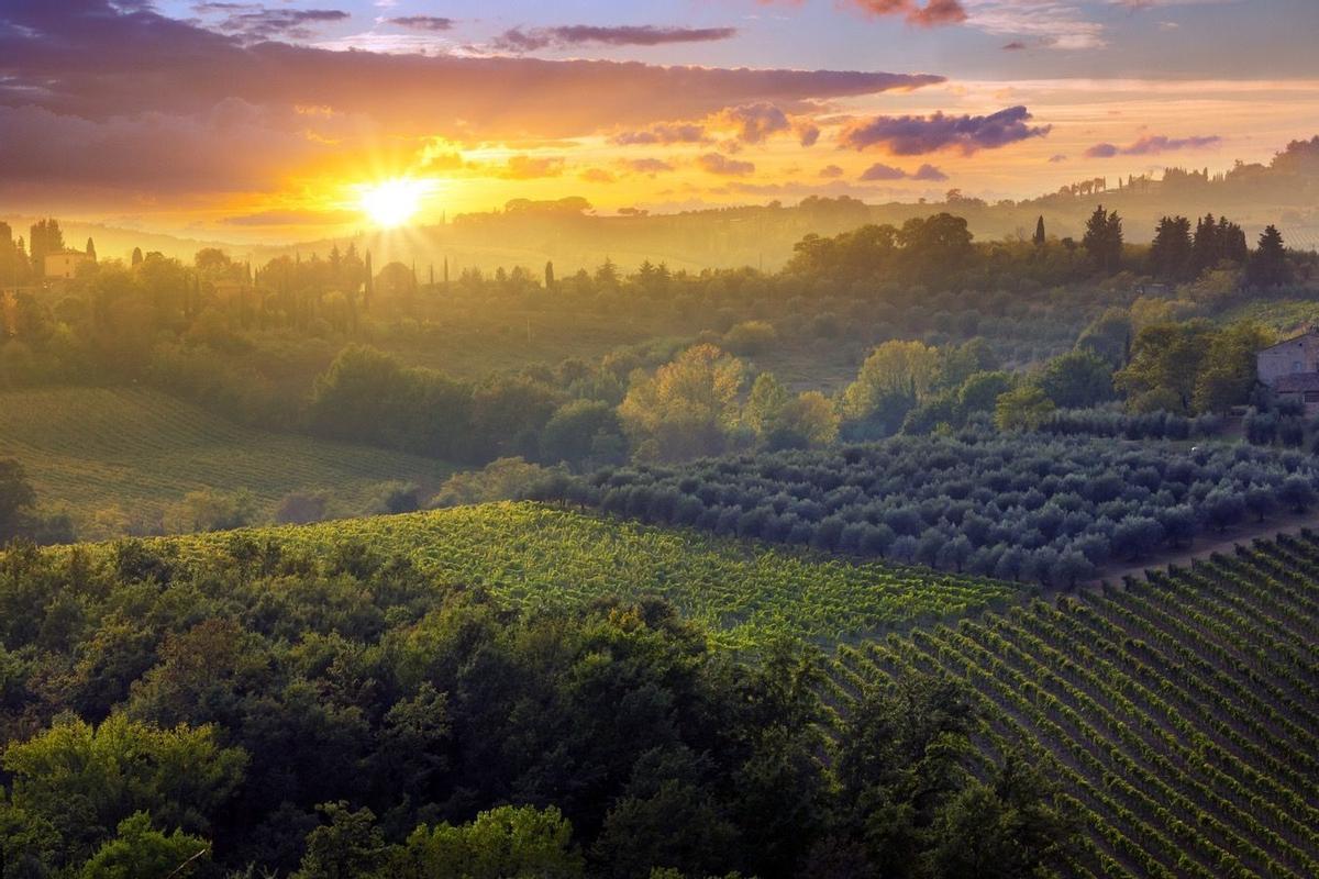 Los mejores lugares para vendimiar, La Toscana (Italia)