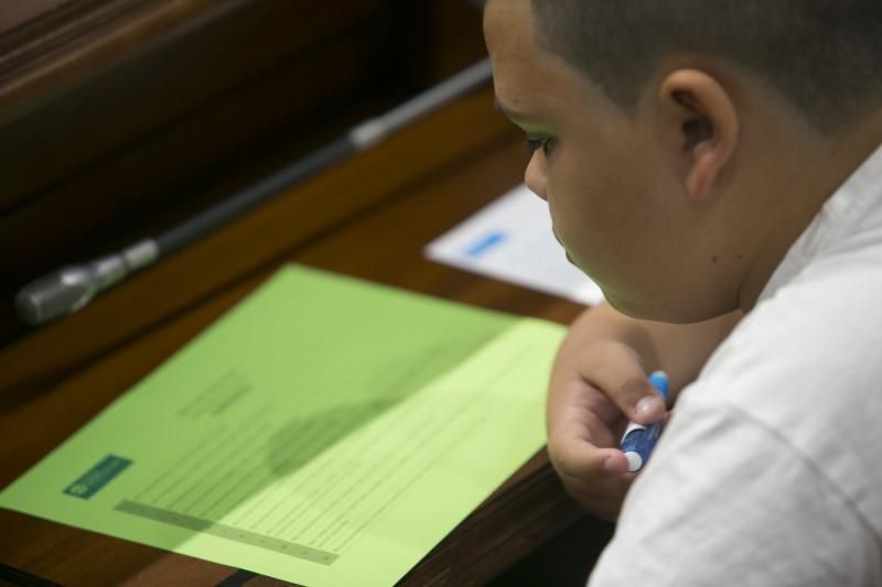 66 escolares ejercen de diputados por un día