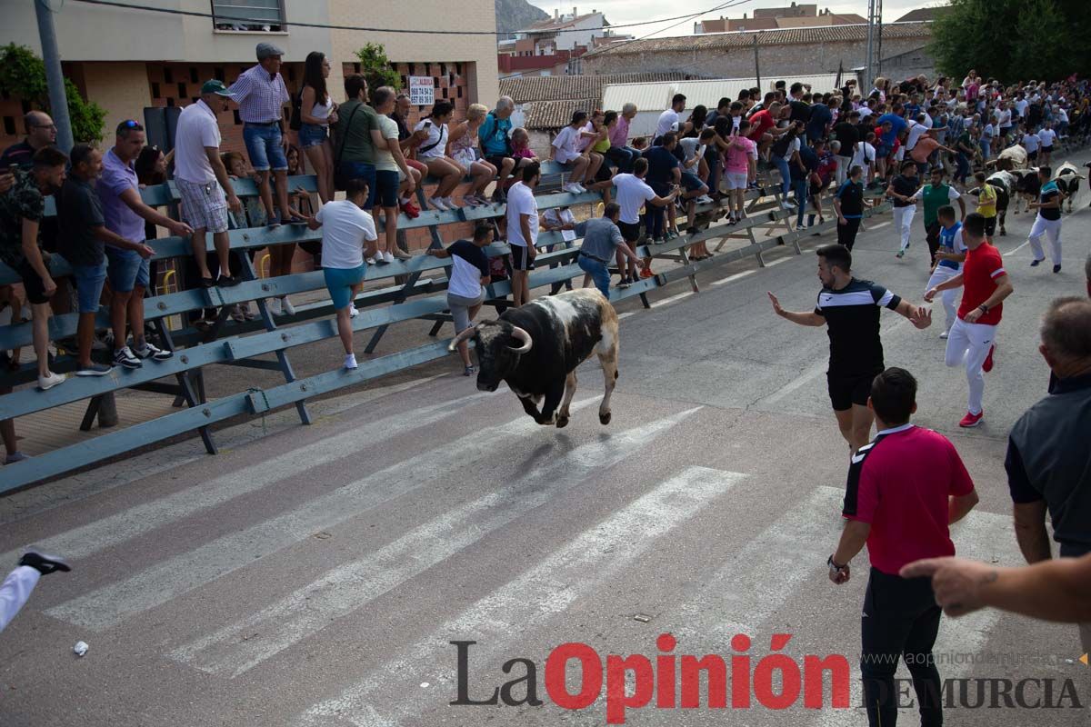 Primer encierro de la Feria del Arroz de Calasparra