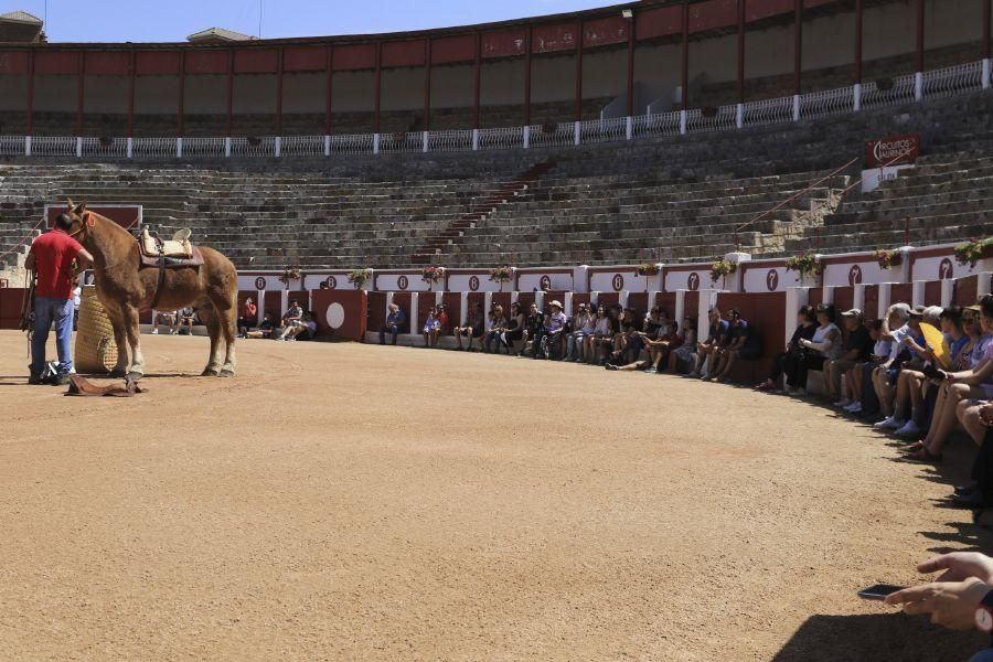 Demostración caballos de picar.