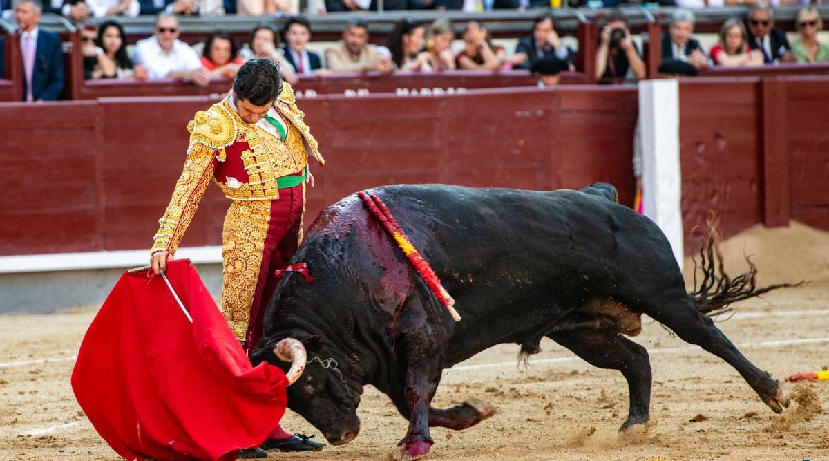 Extraordinario muletazo de Morante de la Puebla en la plaza de toros de Las Ventas