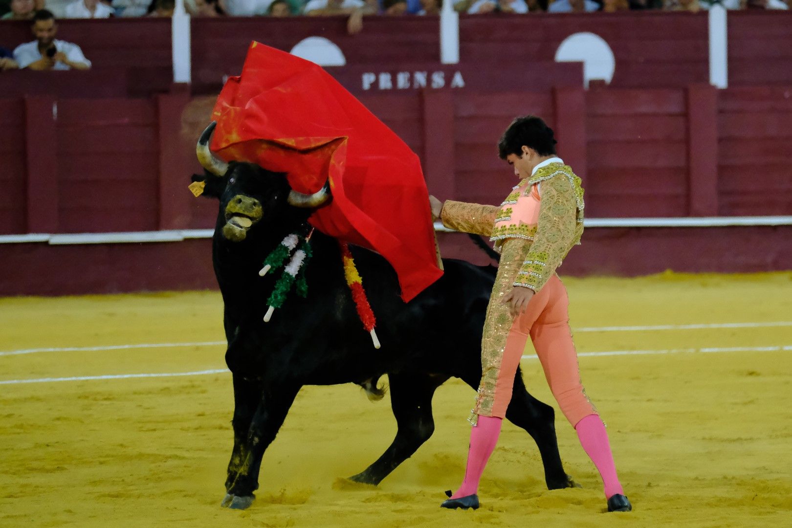 XVI Certamen Internacional de Escuelas Taurinas La Malagueta