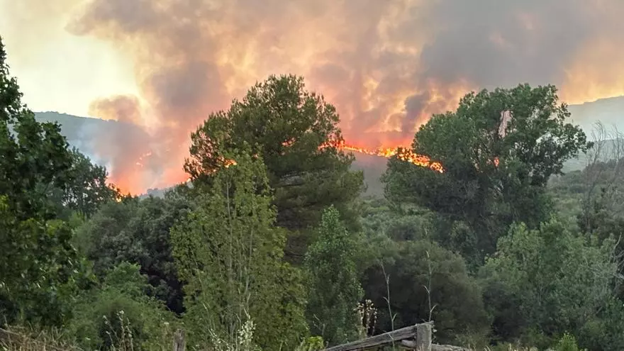 Vídeo: Incendio en Atzeneta