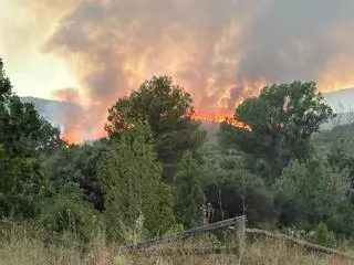 Vídeo: Incendio en Atzeneta