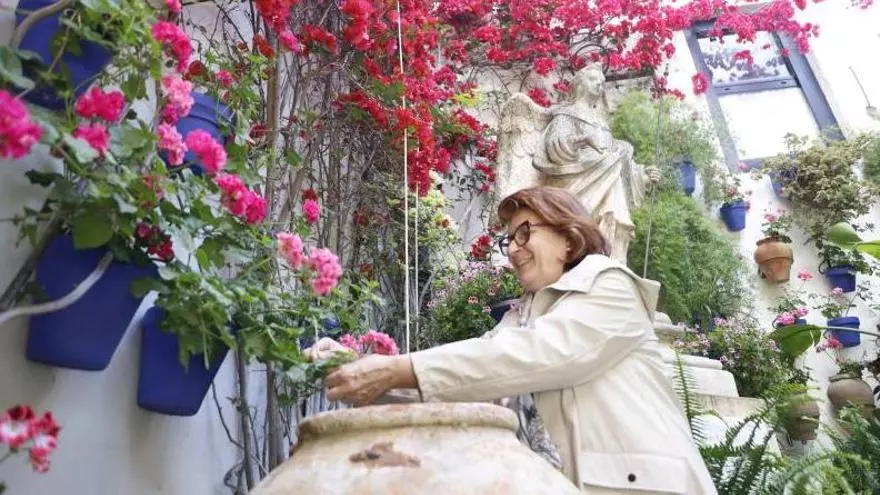 Trucos para las plantas de los cuidadores de Patios de Córdoba