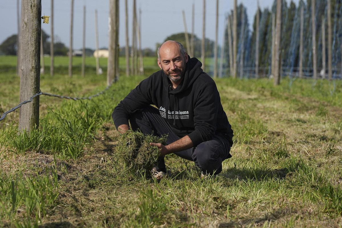 Albert Vilardell al camp de cultiu de llúpol ecològic que té a Llagostera.