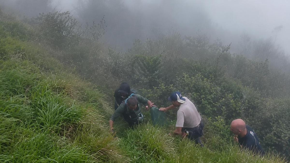 Rescatado tras cuatro horas de búsqueda entre la niebla un montañero de 70 años extraviado en el Pico Monfrechu, en Ribadesella