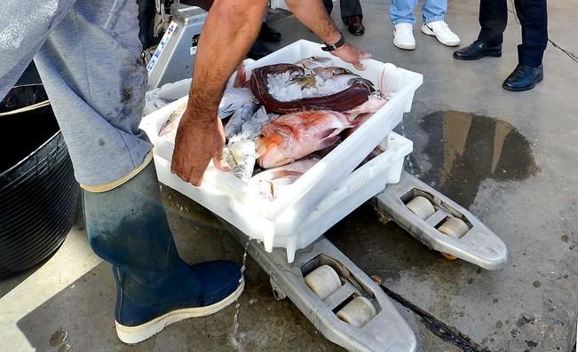 COFRADIAS PESCADORES AGAETE HERNANDEZ BENTO