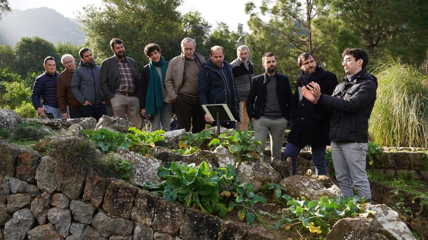 Medio Ambiente subvenciona actividades de educación ambiental en el Jardín Botánico de Sóller