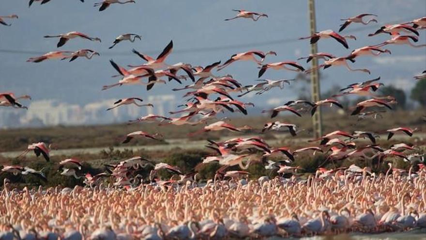 10 escapadas para disfrutar de la naturaleza por España esta Semana Santa