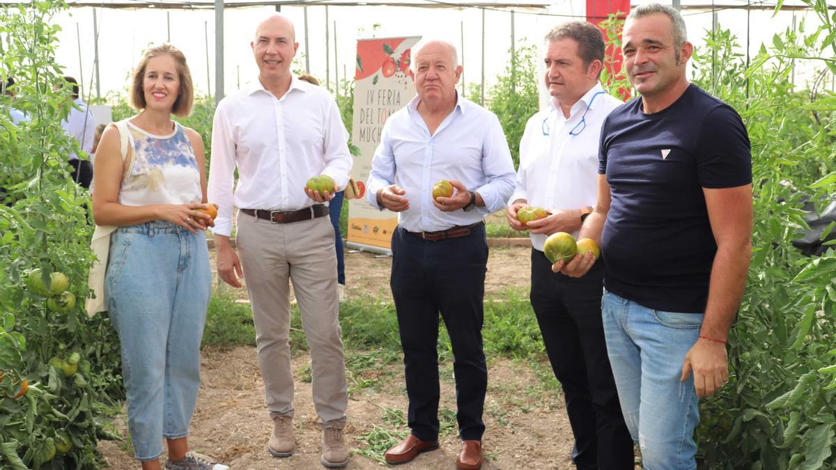 Presentación de la campaña del tomate Muchamiel.