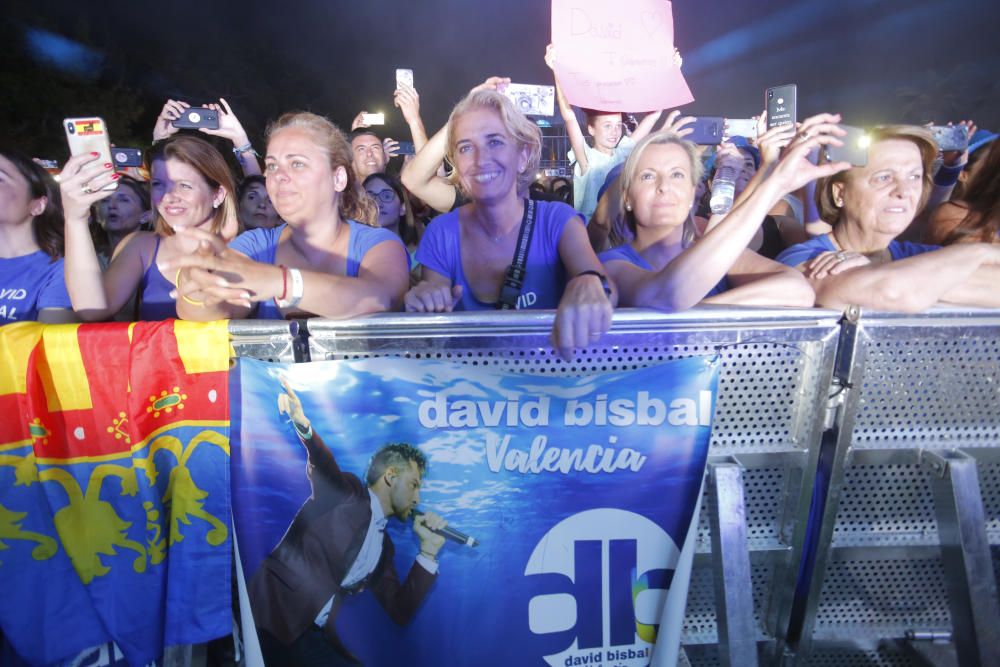 Feria de Julio: Concierto de David Bisbal en València