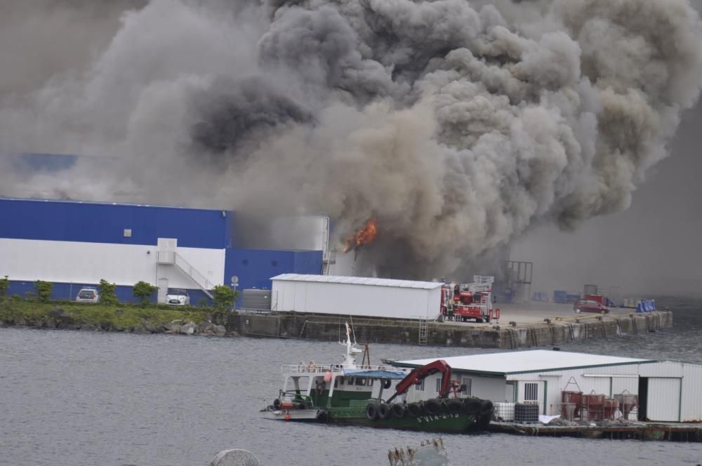 Un aparatoso incendio ha obligado a evacuar este lunes por la  tarde la nave de la empresa Fandicosta, en Moaña (Pontevedra),  dedicada al procesado de congelados del mar y situada en el lugar de  Verdeal, en la parroquia de Domaio, y una densa humareda cubre parte  de la ría, especialmente en la zona del puente de Rande.