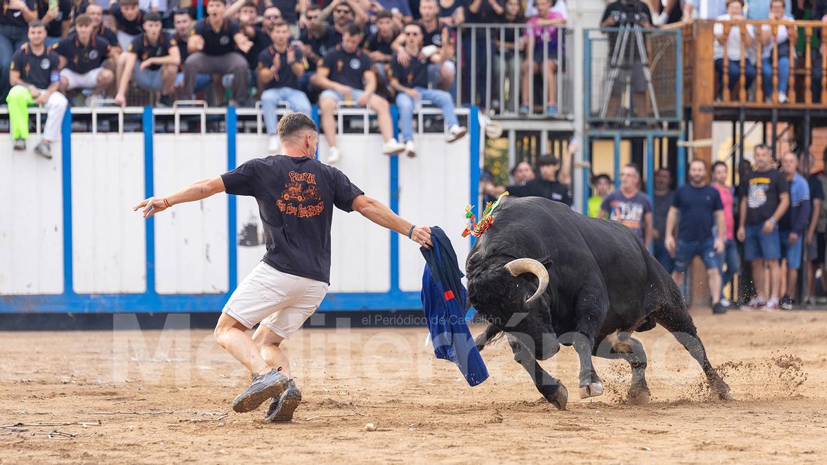 Bous a Les Alqueries 2025