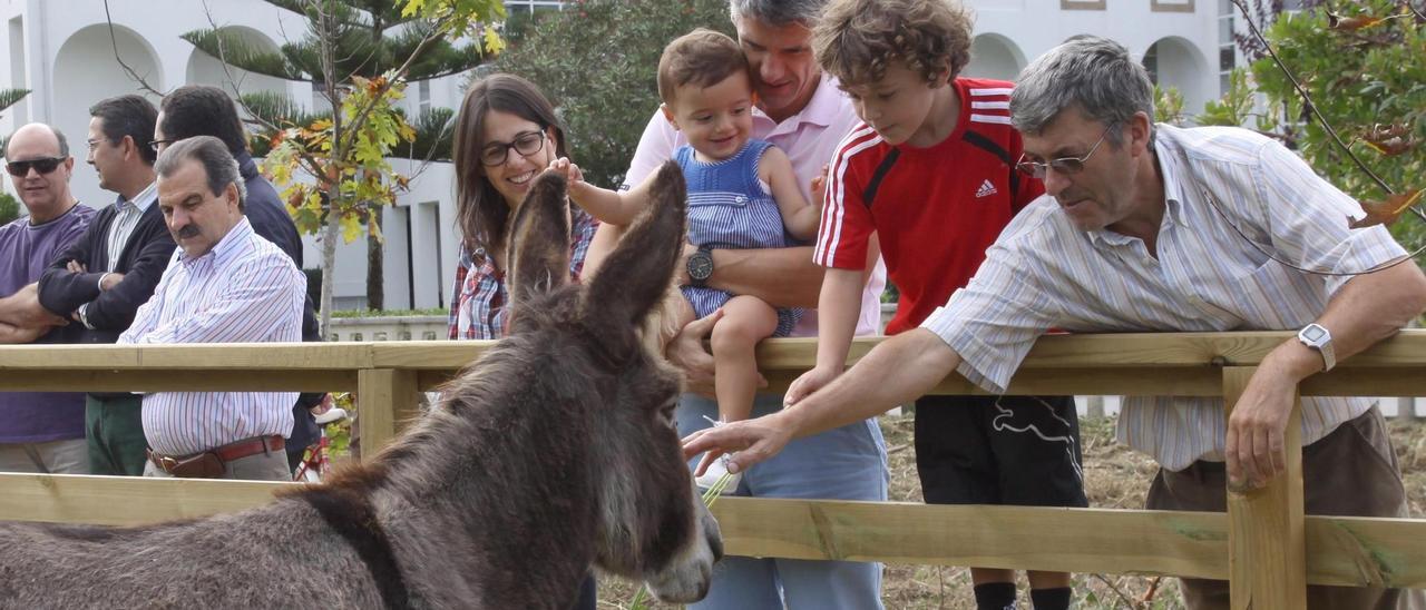 La presentación pública de los burros "fariñeiros" de A Toxa, el 24 de septiembre de 2011.