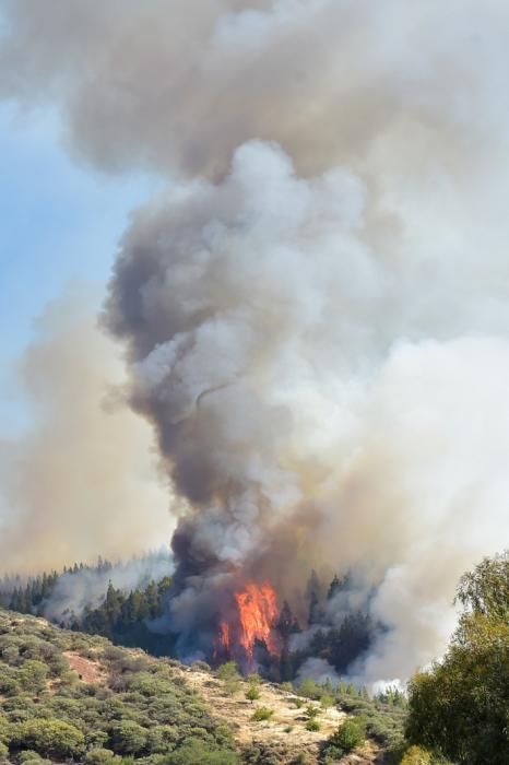 10-08-2019 ARTENARA. Incendio en la cumbre de Gran Canaria  | 10/08/2019 | Fotógrafo: Andrés Cruz
