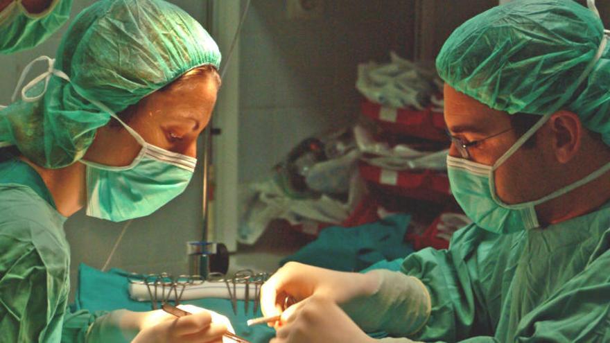 Dos sanitarios trabajan en quirófano en un trasplante de órganos.