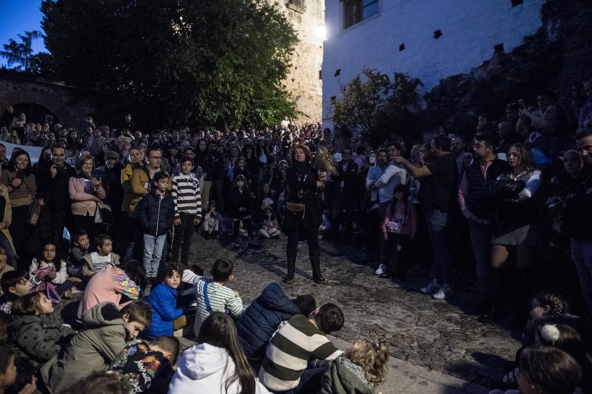 GALERÍA | Así es el Mercado Medieval de Cáceres con el regreso de la cetrería GALERÍA | Así es el Mercado Medieval de Cáceres con el regreso de la cetrería