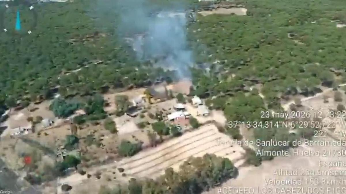 Incendio en el paraje de El Pastorcito, en el término municipal de Almonte (Huelva).