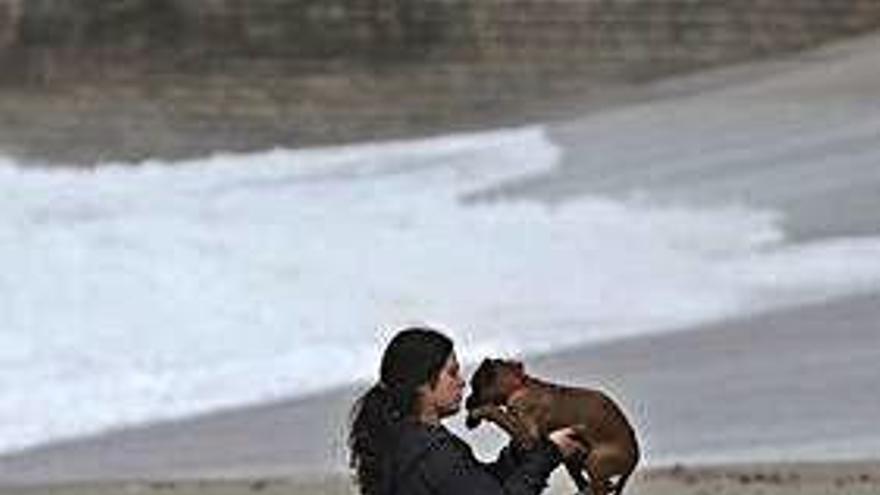 Un perro juega en una playa de la ciudad en invierno.