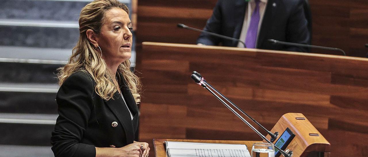 La portavoz del PP, Teresa Mallada.