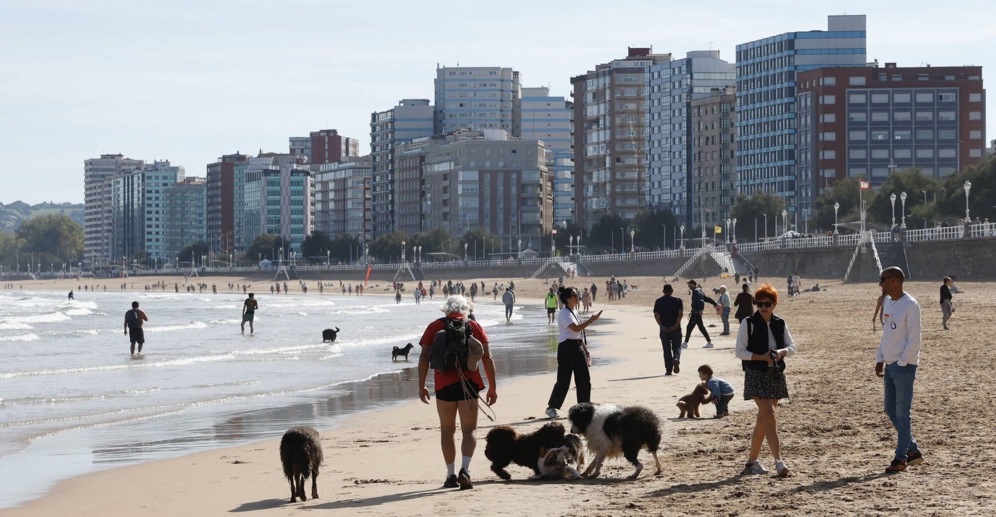 Regreso de los perros a la playa de San Lorenzo.