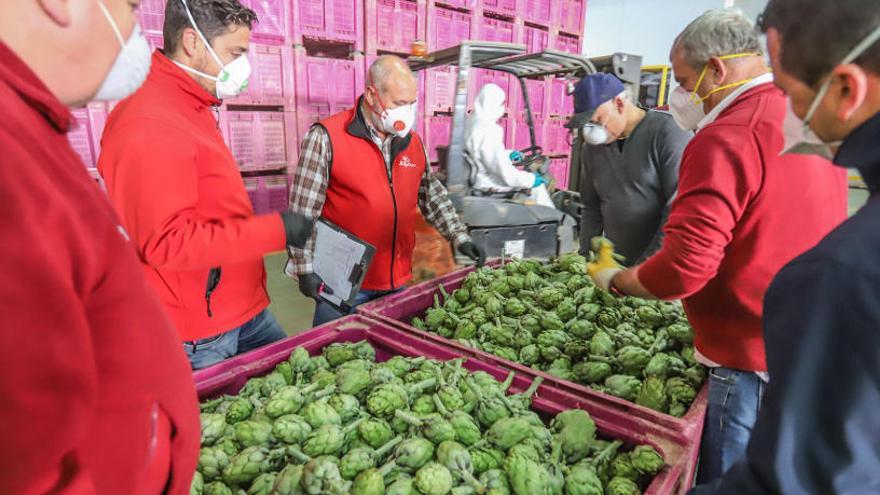 Compradores y empleados de una alhóndiga de Orihuela miran la calidad de unas alcachofas, todos siguiendo las medidas de higiene por el coronavirus.