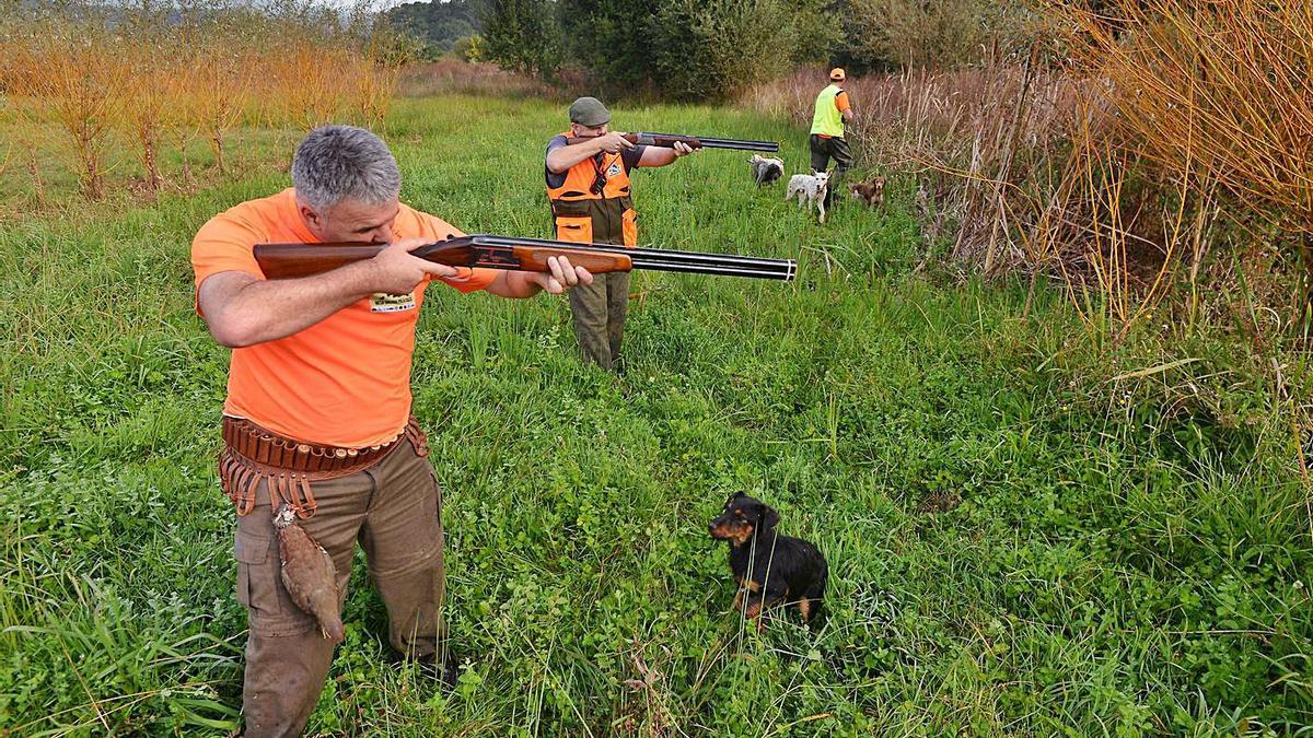 Cazadores durante una batida. | LNE