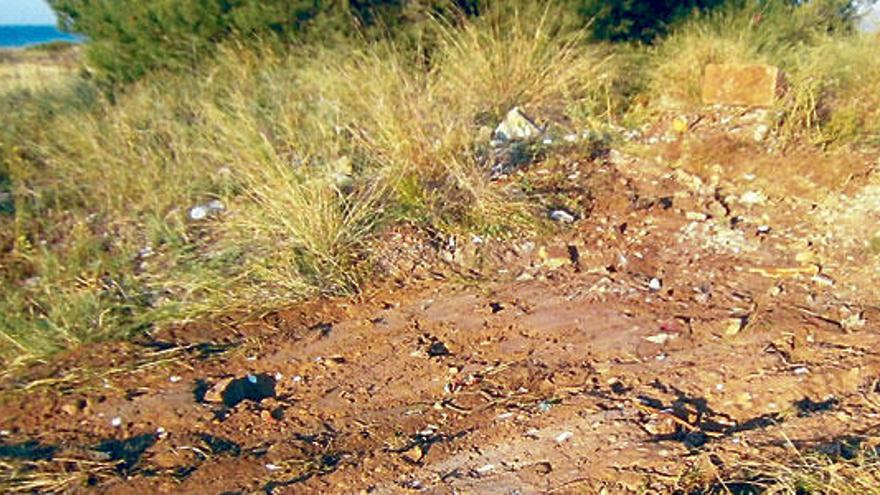 Una zona de es Carnatge tras la limpieza de Emaya.