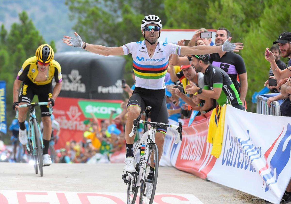 Team Movistar rider Spain’s Alejandro Valverde crosses the finish line and wins the seventh stage of the 2019 La Vuelta cycling tour of Spain, a 183, 2 km race from Onda to Mas de la Costa  on August 30, 2019 in Mas de la Costa. (Photo by JOSE JORDAN / AFP)