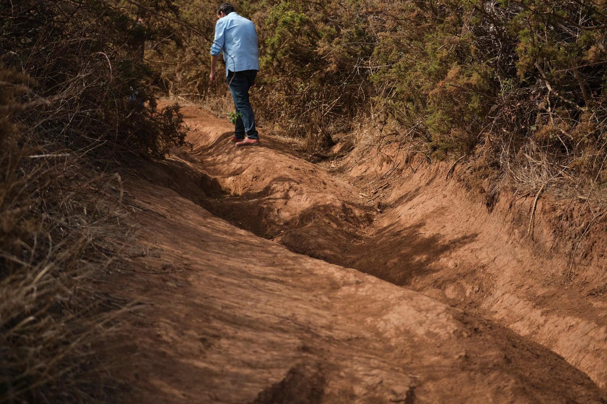 La Mesa Mota pide auxilio