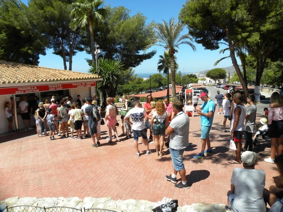 El Jardín Botánico Detunda-Cueva de Nerja, enmarcado en el Parque Natural de las Sierras Tejeda, Almijara y Alhama, alberga 200 especies de flora extraña sobre una superficie de 2,6 hectáreas.