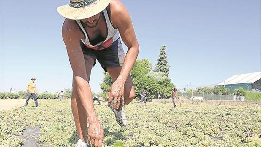 La falta de lluvias y el calor adelantan la instalación de las paseras en el marco